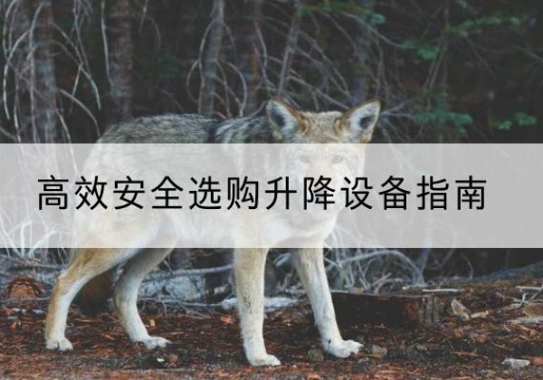 安新升降货梯厂家推荐-*安全选购升降设备指南