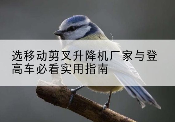 安新电动升降机厂家-选移动剪叉升降机厂家与登高车必看实用指南