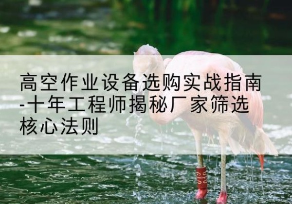 安新剪叉式升降机厂家-高空作业设备选购实战指南-十年工程师揭秘厂家筛选核心法则